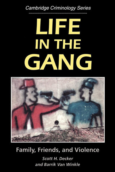 Life in the Gang: Family, Friends, and Violence (Cambridge Studies in Criminology)