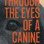 Through the Eyes of a Canine: How changing your perception and understanding the emotional life of your dog can create a stable and harmonious pack