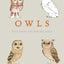 Owls: Our Most Charming Bird