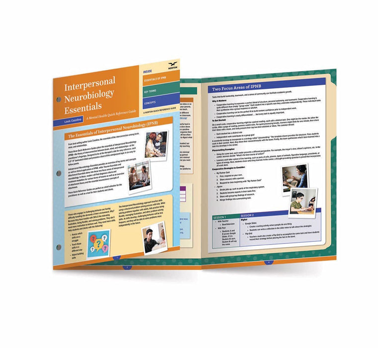 Interpersonal Neurobiology Essentials: A Mental Health Quick Reference Guide (Norton Series on Interpersonal Neurobiology)
