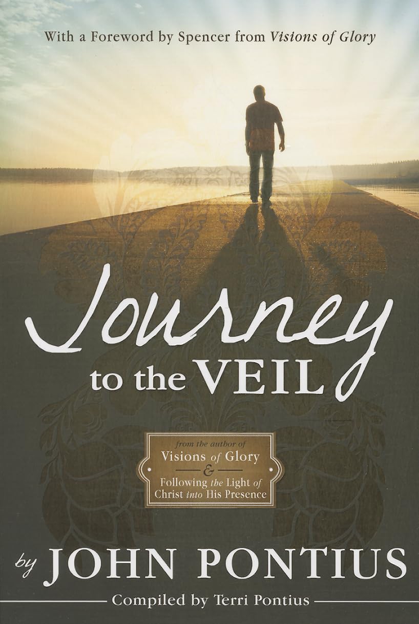 Journey to the Veil [Paperback] John Pontius