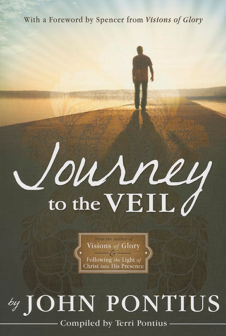 Journey to the Veil [Paperback] John Pontius