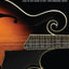 Mandolin Chord Finder: Easy-to-Use Guide with 1000 Mandolin Chords  Complete Chord Reference Book with Diagrams and Fingerboard Chart  Fretted Instrument Instruction Method  Hal Leonard