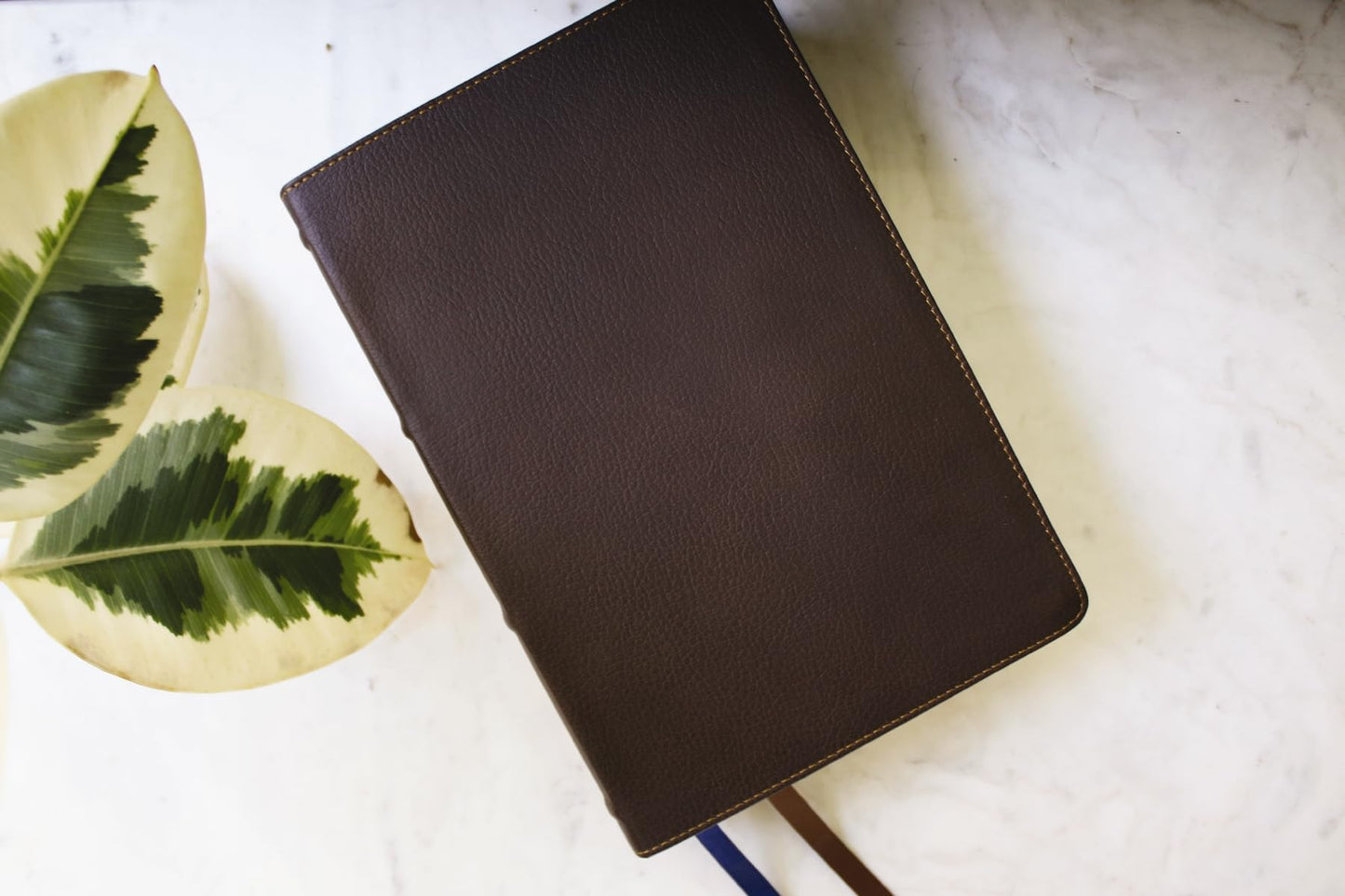 NIV Study Bible, Fully Revised Edition (Study Deeply. Believe Wholeheartedly.), Genuine Leather, Calfskin, Brown, Red Letter, Comfort Print