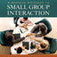 A Systems Approach to Small Group Interaction
