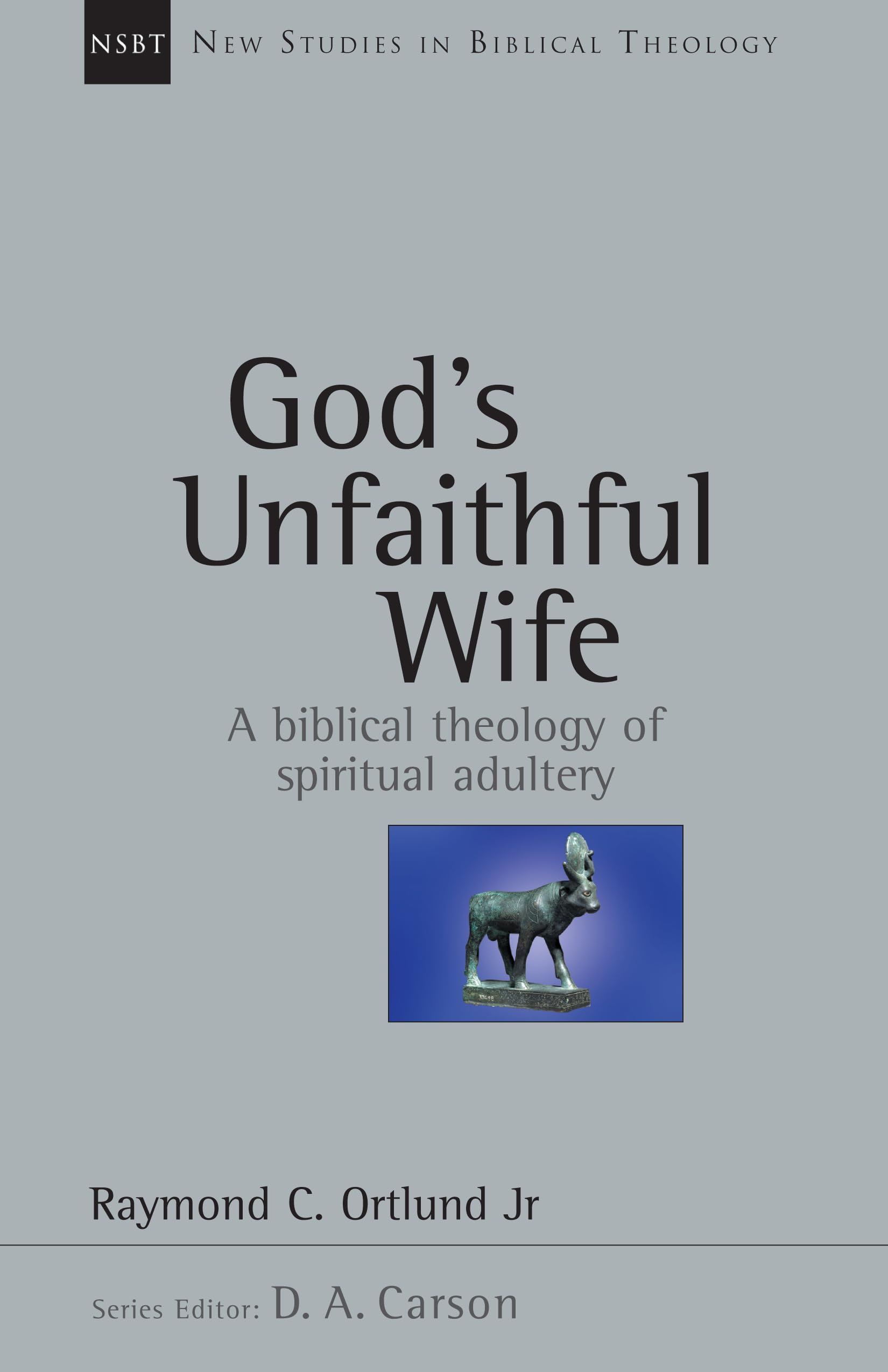 God's Unfaithful Wife: A Biblical Theology of Spiritual Adultery (Volume 2) (New Studies in Biblical Theology)