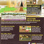 South Park The Stick of Truth: Prima Official Game Guide