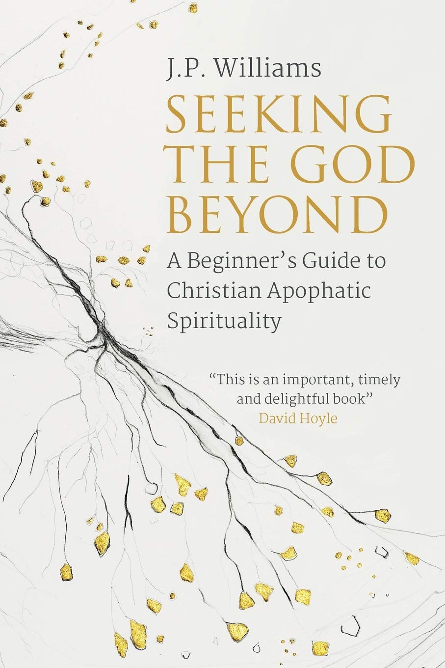 Seeking the God Beyond: A Beginners Guide to Christian Apophatic Spirituality