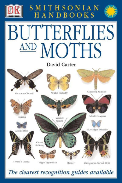 Butterflies & Moths: The Clearest Recognition Guide Available (DK Smithsonian Handbook)