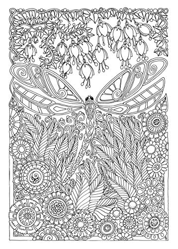 Creative Haven Entangled Dragonflies Coloring Book (Adult Coloring Books: Insects)