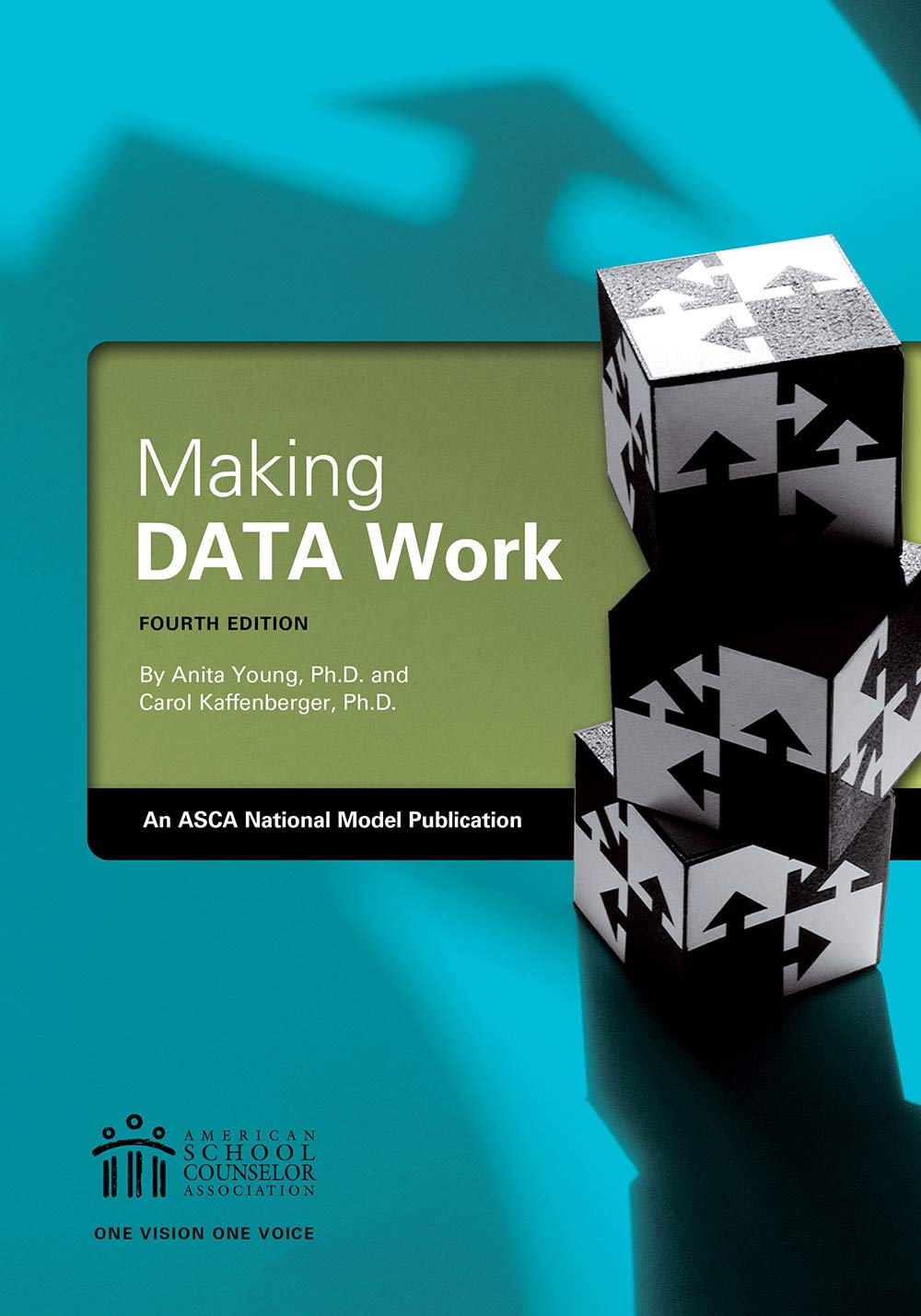 Making DATA Work: An ASCA National Model Publication