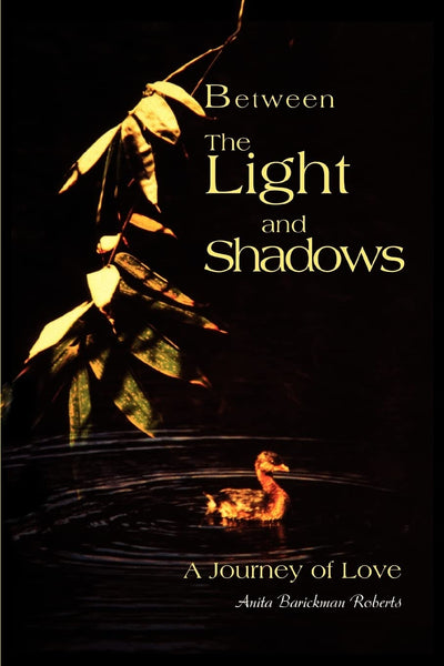Between The Light and Shadows: A Journey of Love