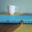 NIV, Value Thinline Bible, Large Print, Leathersoft, Teal, C