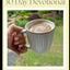 Rise and Shine: 30 Day Devotional