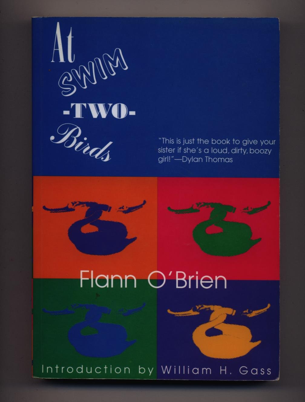 At Swim-Two-Birds (Irish Literature Series)