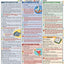 Chem Lab Basics (Quick Study Academic)