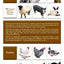 Off Grid Farm Animal Essentials: A Comprehensive Handbook for Raising Cows, Goats, Sheep, Pigs, Rabbits, Chickens, Ducks, Geese, and Turkeys -- ... off Grid Homesteading! (Off Grid Essentials)