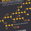 The Business Blockchain: Promise, Practice, and Application of the Next Internet Technology
