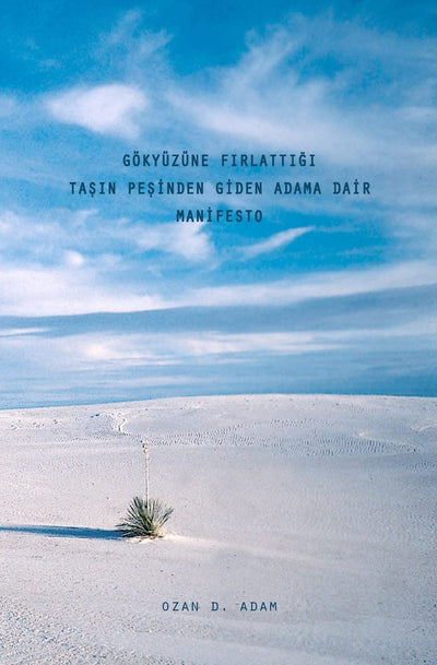Gokyuzune Firlattigi Tasin Pesinden Giden Adama Dair Manifesto (Turkish Edition)