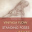 Yoga Mat Companion 1: Anatomy for Vinyasa Flow and Standing Poses