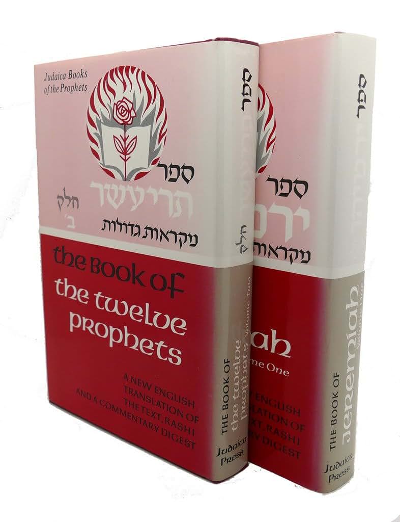 Twelve Prophets: A New English Translation