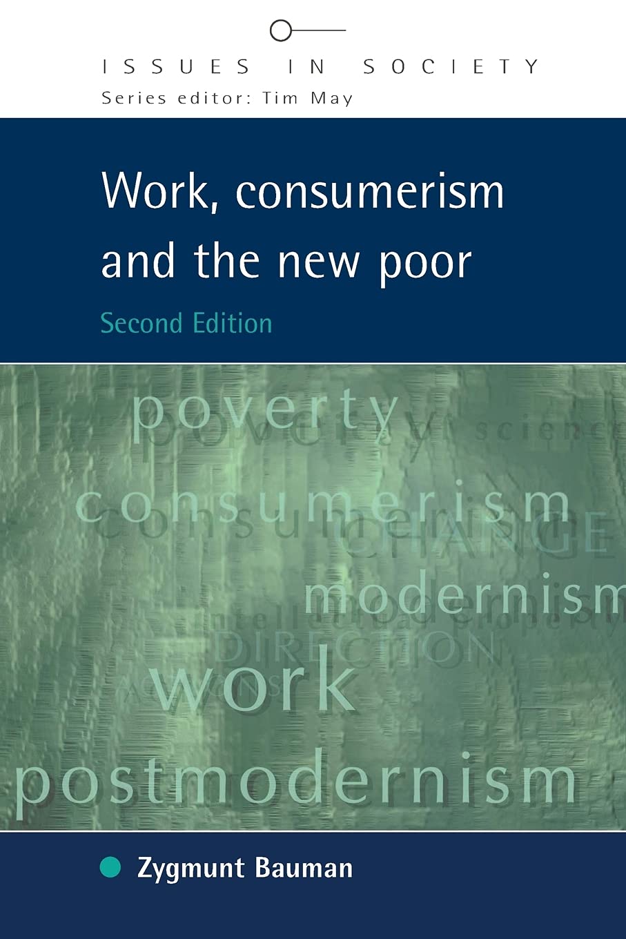 Work, Consumerism and the New Poor (Issues in Society)