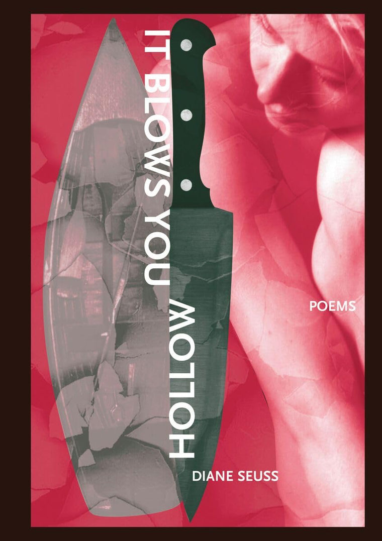 It Blows You Hollow (The New Issues Press Poetry Series)