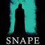 Snape: A Definitive Reading