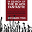 In Search of the Black Fantastic: Politics and Popular Culture in the Post-Civil Rights Era (Transgressing Boundaries: Studies in Black Politics and Black Communities)