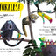 The Turtle Who Turned the Tide: From The World of Rachel Bright & Jim Field