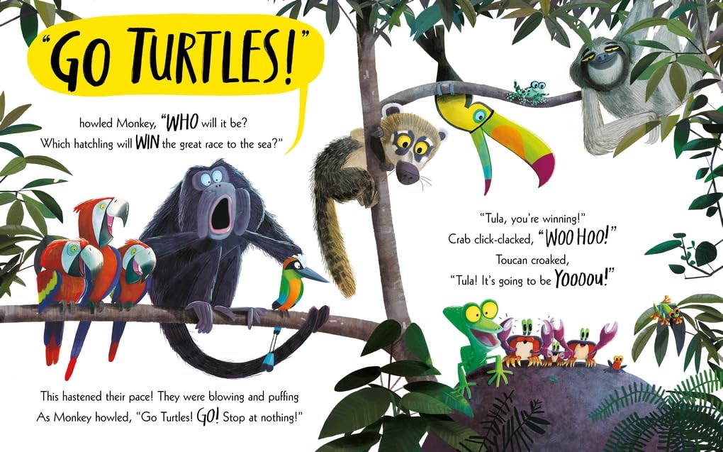 The Turtle Who Turned the Tide: From The World of Rachel Bright & Jim Field