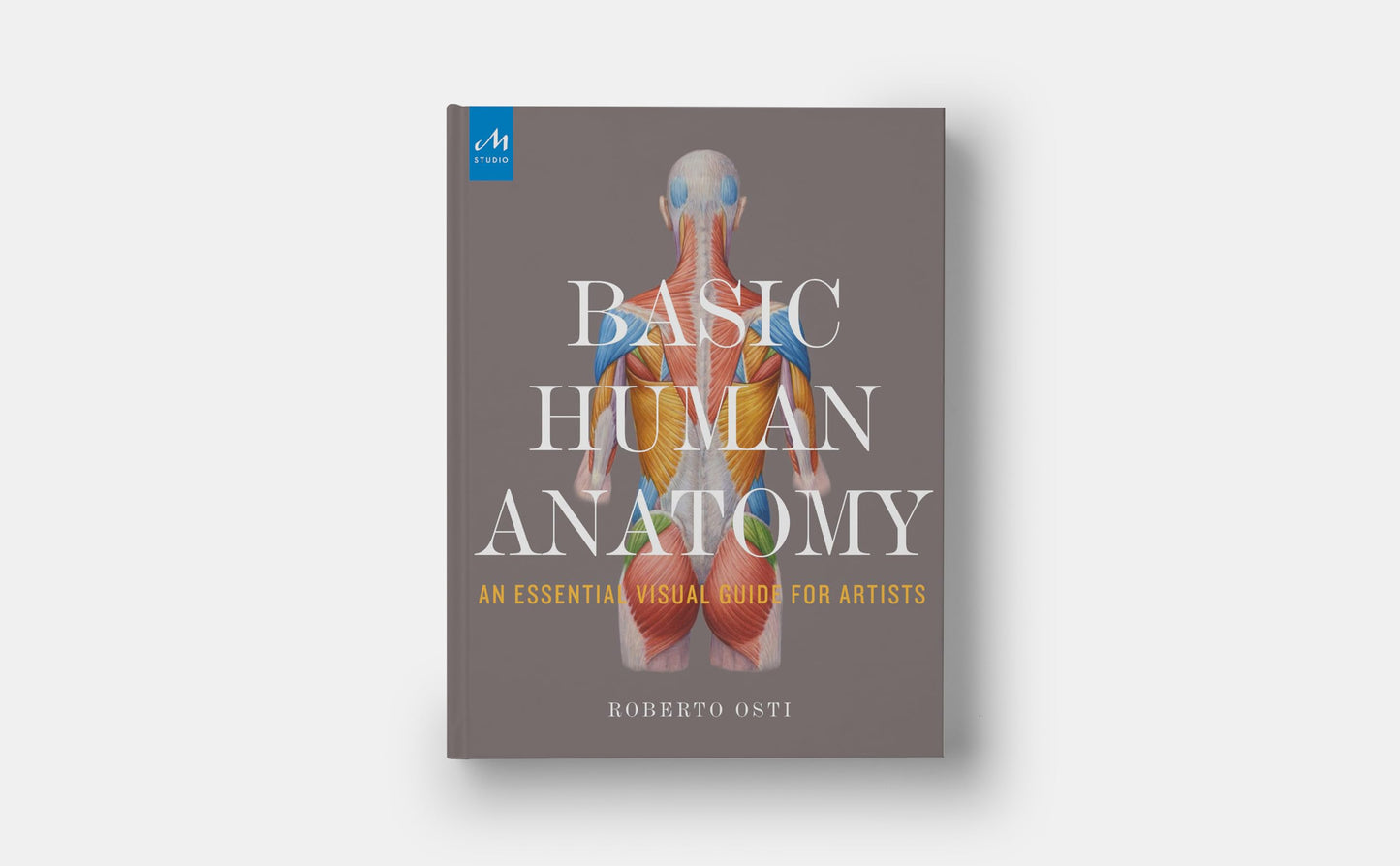 Basic Human Anatomy: An Essential Visual Guide for Artists