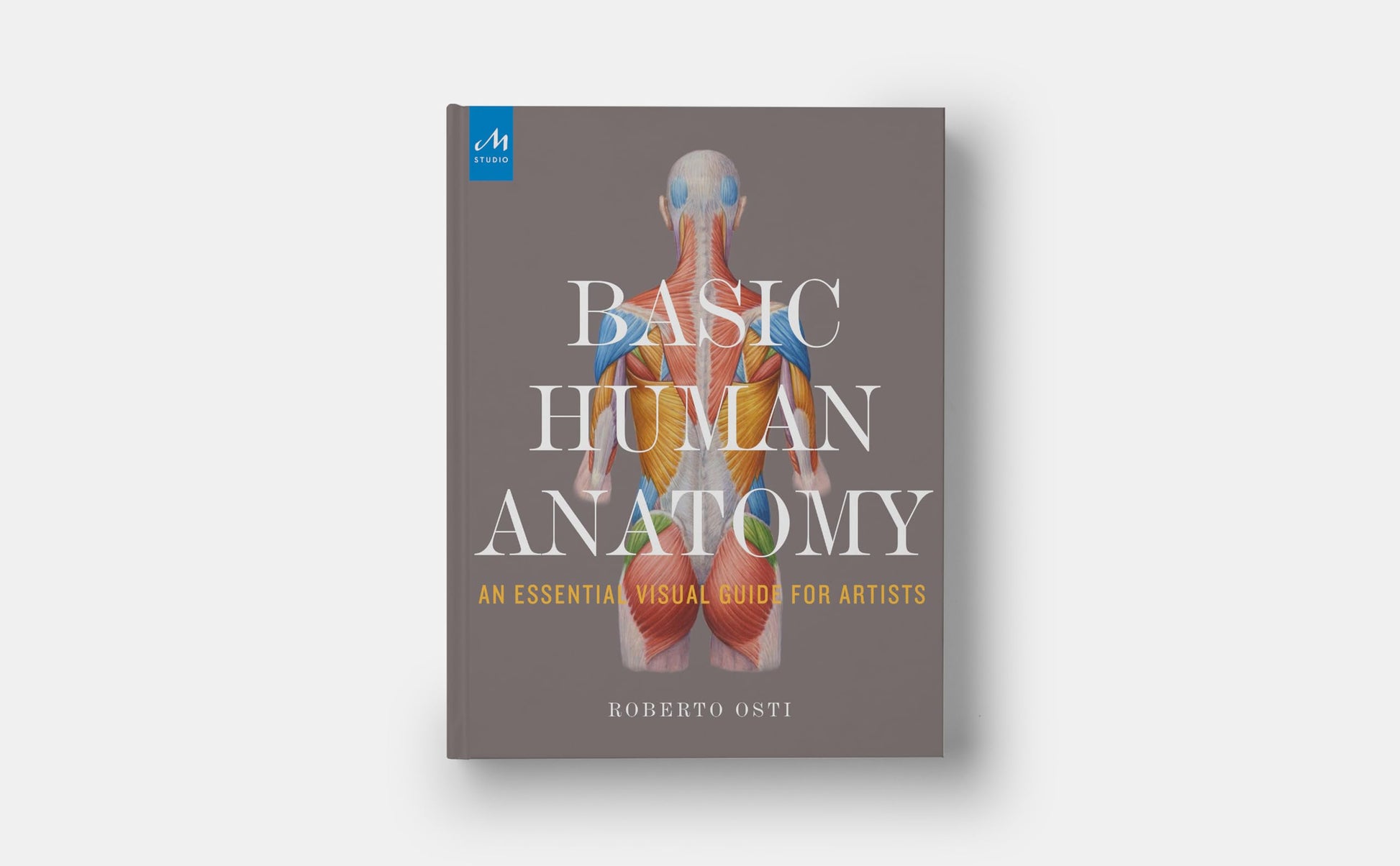 Basic Human Anatomy: An Essential Visual Guide for Artists
