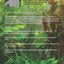Ecology of the Planted Aquarium: A Practical Manual and Scientific Treatise