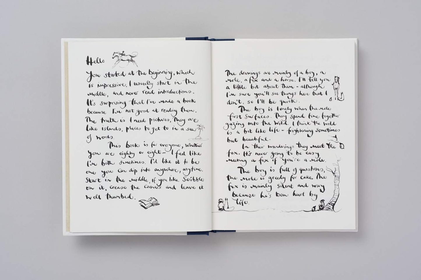 The Boy, The Mole, The Fox and The Horse /anglais