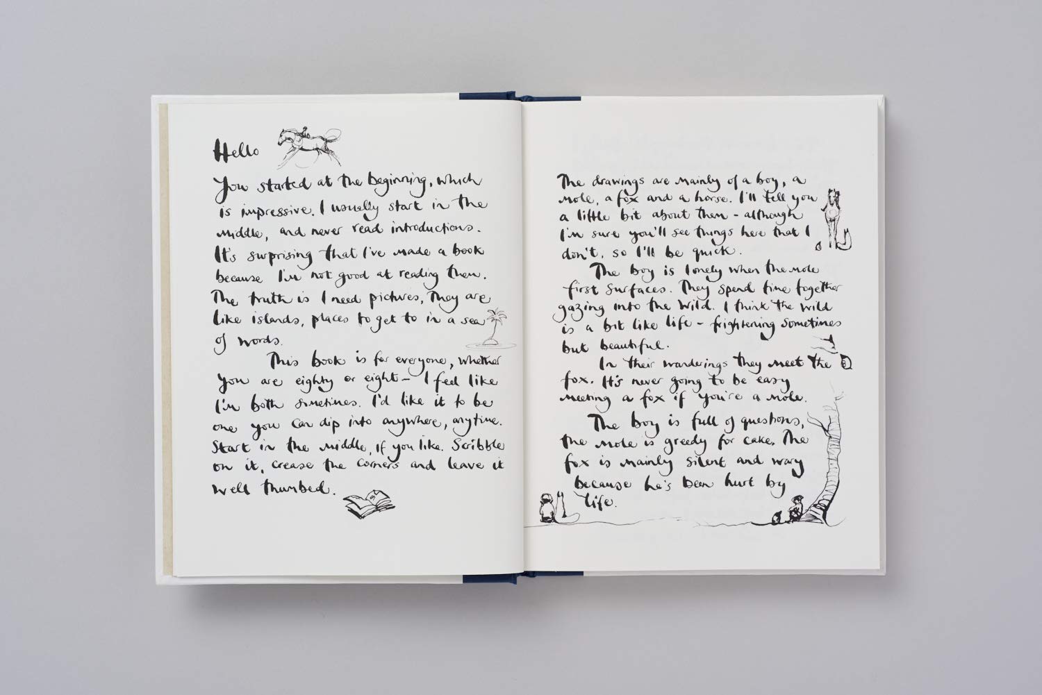 The Boy, The Mole, The Fox and The Horse /anglais