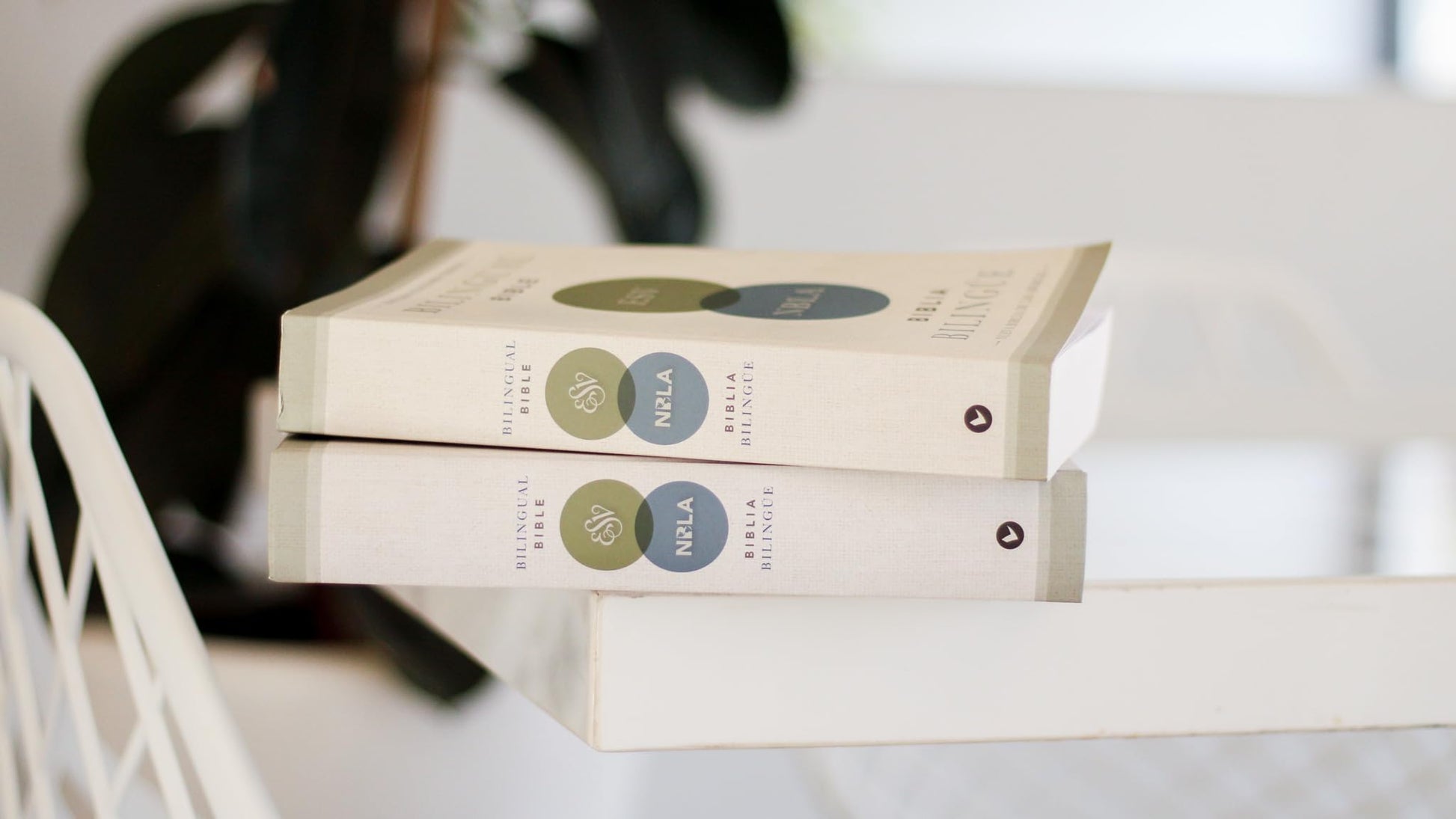 ESV/NBLA, Bilingual Bible, Softcover / ESV/NBLA, Biblia Bilinge, tapa rústica (Spanish Edition)