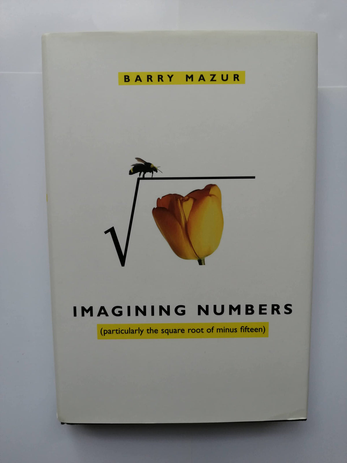 Imagining Numbers: (particularly the square root of minus fifteen)