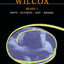Wilcox Plays: 1: Rents; Accounts; Lent; Massage (Contemporary Dramatists)