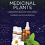 Medicinal Plants: Chemistry, Biology and Omics