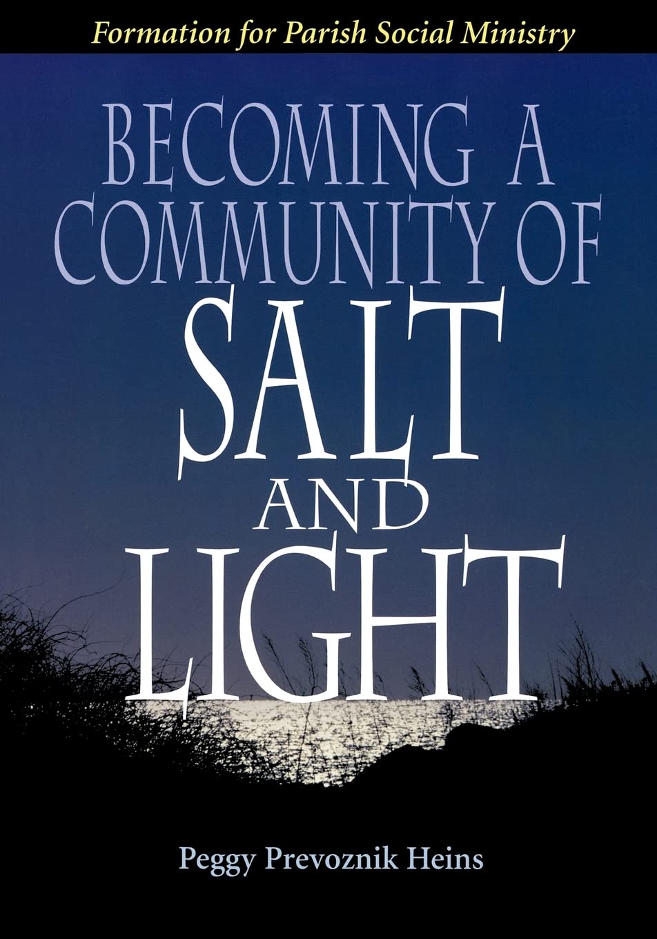 Becoming a Community of Salt and Light: Formation for Parish Social Ministry