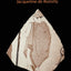 A Short History of Greek Literature