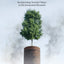 Is a Little Pollution Good for You?: Incorporating Societal Values in Environmental Research (Environmental Ethics and Science Policy Series)
