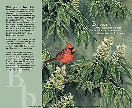 B Is For Buckeye: An Ohio Alphabet (Discover America State by State)
