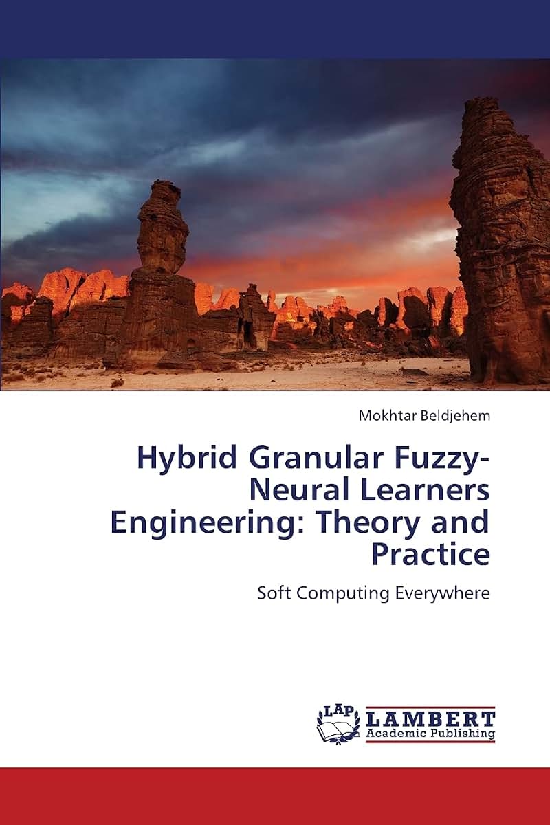 Hybrid Granular Fuzzy-Neural Learners Engineering: Theory and Practice: Soft Computing Everywhere