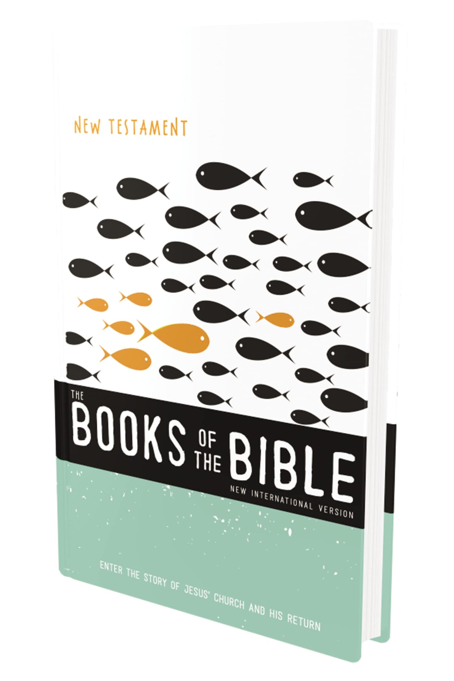 NIV, The Books of the Bible: New Testament, Hardcover: Enter the Story of Jesus’ Church and His Return (4)