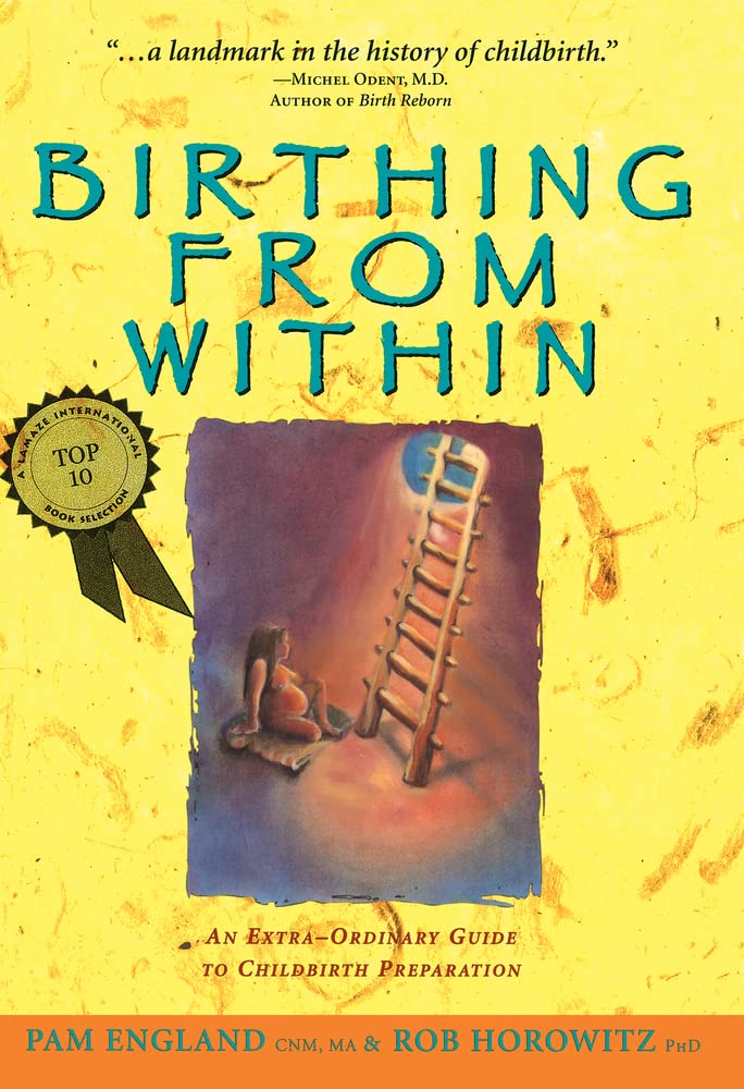 Birthing from Within: An Extra-Ordinary Guide to Childbirth