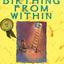 Birthing from Within: An Extra-Ordinary Guide to Childbirth Preparation
