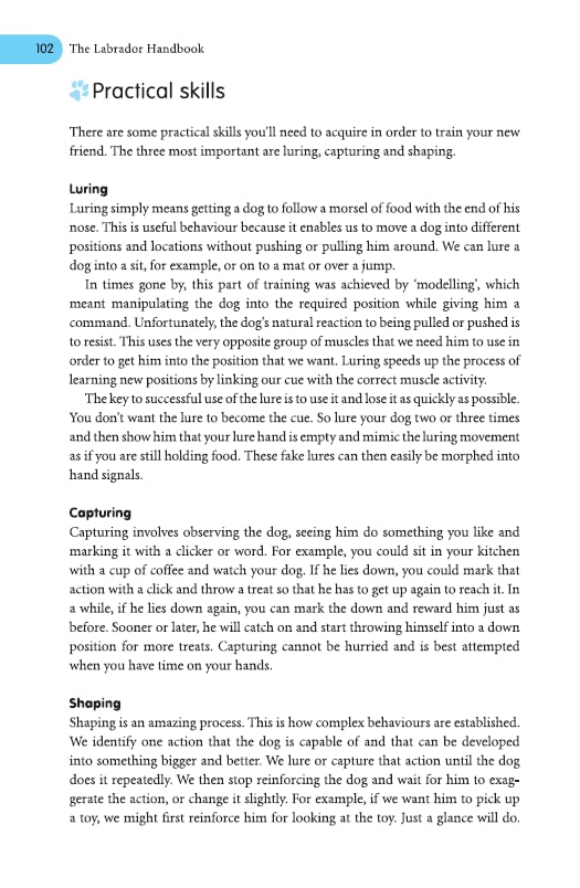 The Labrador Handbook: Your Definitive Guide to Care and Training