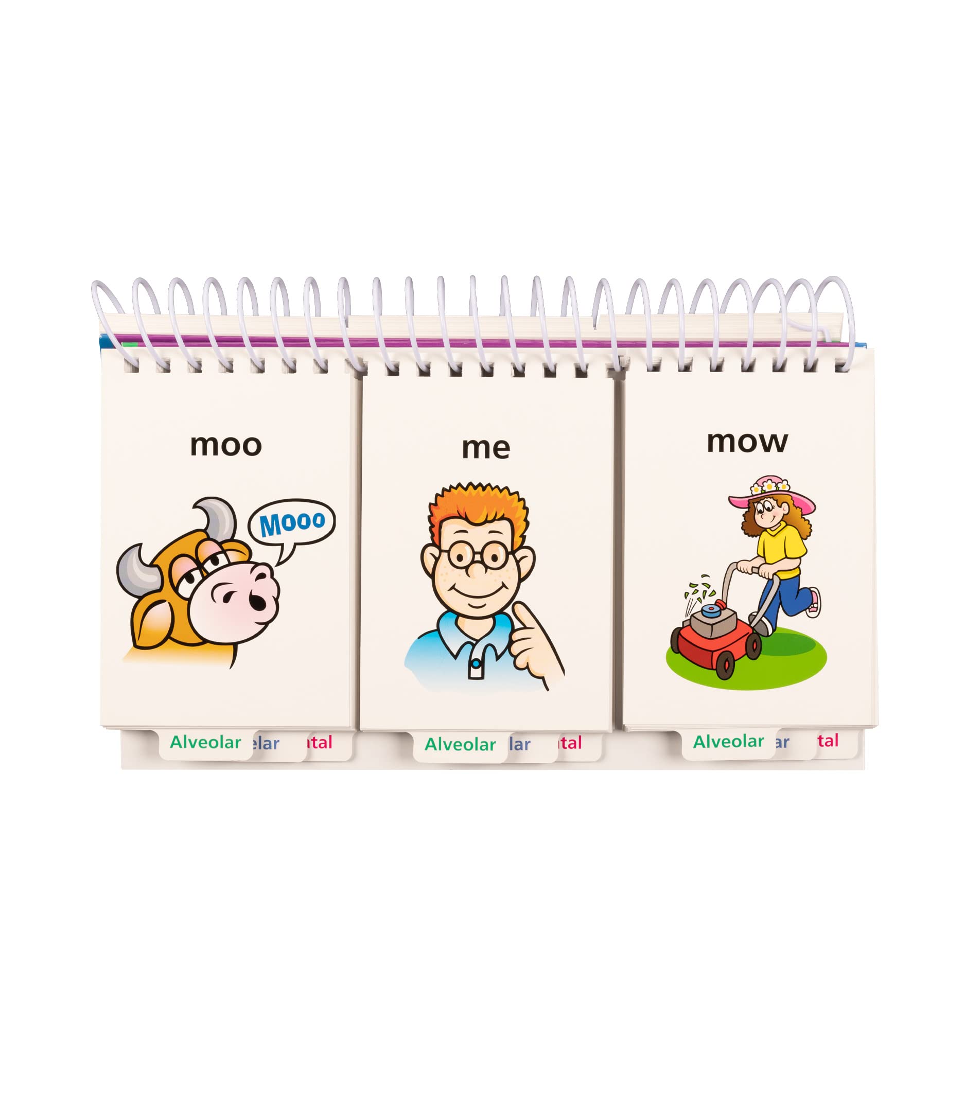 Super Duper Publications  Word FLIPS for Learning Intelligible Production of Speech  Educational Learning Resource for Children